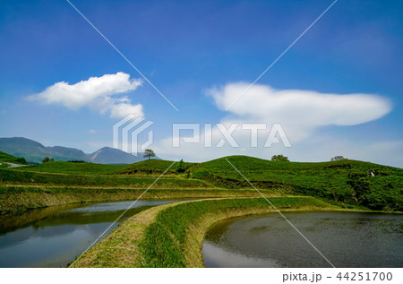 扇棚田　産山村 44251700
