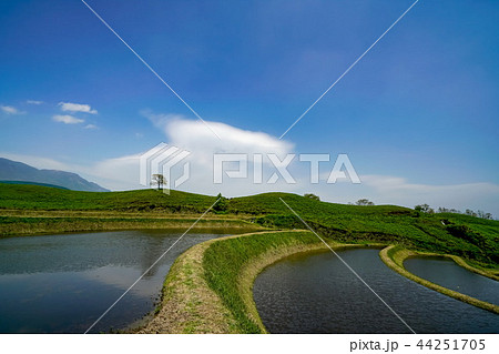 扇棚田　産山村 44251705