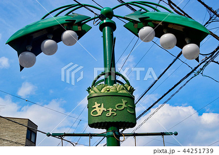 青物横町商店街 青物横町商店街 44251739