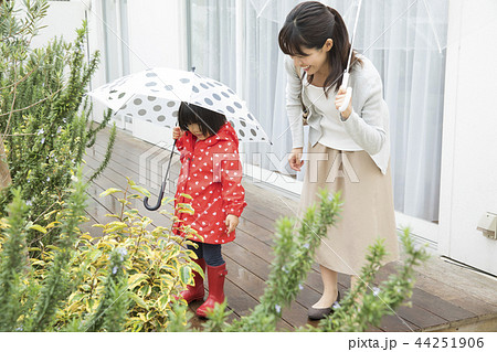 雨の日の家族 雨の日の家族 44251906