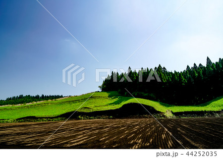 波野村　開拓地 44252035