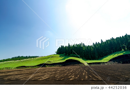 波野村 開拓地 波野村 開拓地 44252036