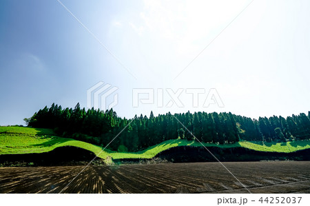 波野村　開拓地 44252037