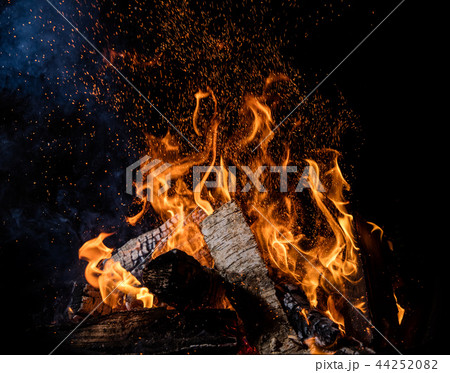 Burning wooden logs in fire, campfire on black 44252082