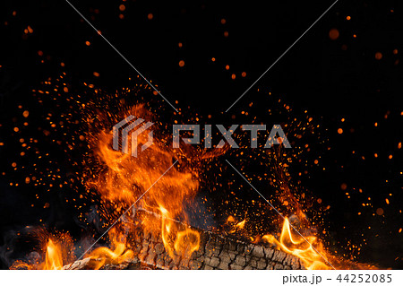 Burning wooden logs in fire, campfire on black Burning wooden logs in fire, campfire on black 44252085