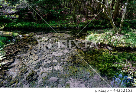 山吹水源　泉 44252152