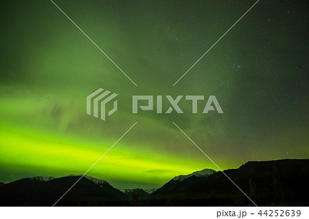 アラスカのオーロラ Aurora Alaska アラスカのオーロラ Aurora Alaska 44252639