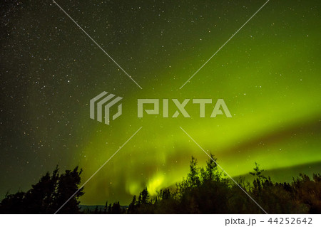 アラスカのオーロラ Aurora Alaska アラスカのオーロラ Aurora Alaska 44252642