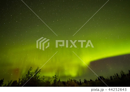 アラスカのオーロラ Aurora Alaska アラスカのオーロラ Aurora Alaska 44252643