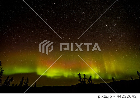 アラスカのオーロラ Aurora Alaska アラスカのオーロラ Aurora Alaska 44252645