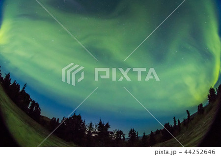アラスカのオーロラ Aurora Alaska アラスカのオーロラ Aurora Alaska 44252646