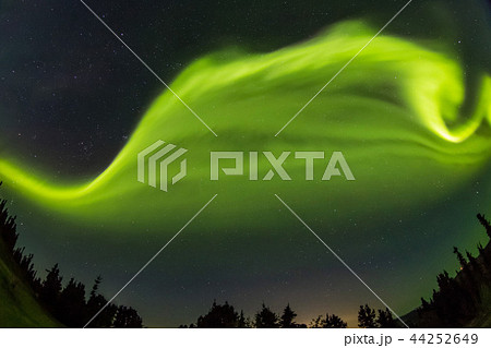 アラスカのオーロラ Aurora Alaska アラスカのオーロラ Aurora Alaska 44252649