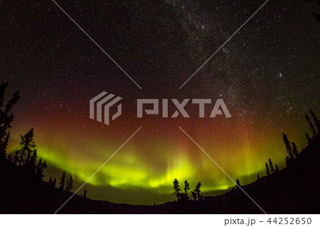 アラスカのオーロラ Aurora Alaska アラスカのオーロラ Aurora Alaska 44252650