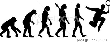 Badminton Evolution Badminton Evolution 44252674