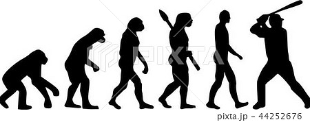 Baseball Evolution Baseball Evolution 44252676