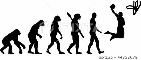 Basketball Evolution 44252678