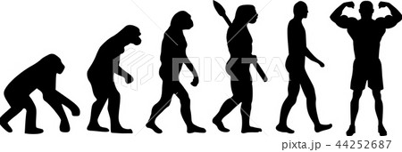 Evolution Body Building 44252687