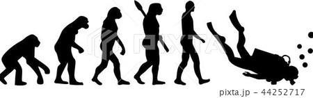 Diver Evolution 44252717