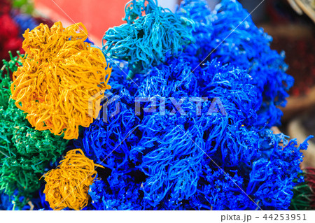 colored dried algae 44253951