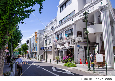 大倉山エルム通り 大倉山エルム通り 44253960