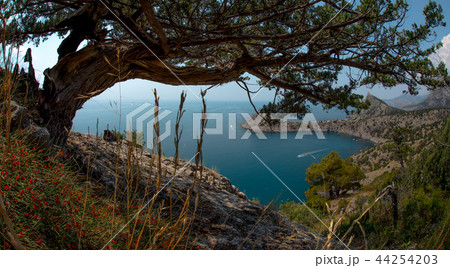 Beauty nature landscape Crimea 44254203