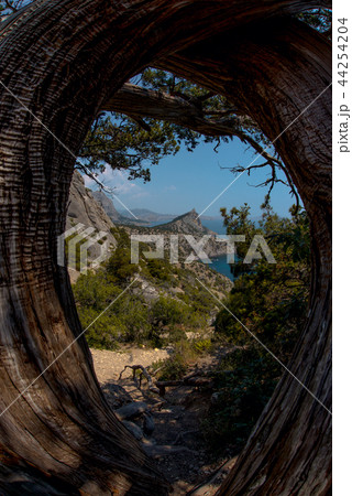 Beauty nature landscape Crimea Beauty nature landscape Crimea 44254204