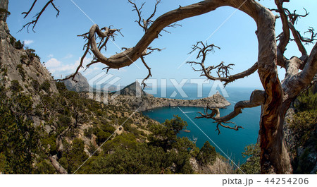 Beauty nature landscape Crimea 44254206