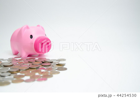 Pink and money 44254530