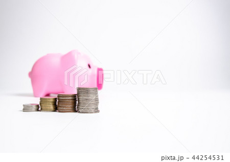Pink 2 44254531