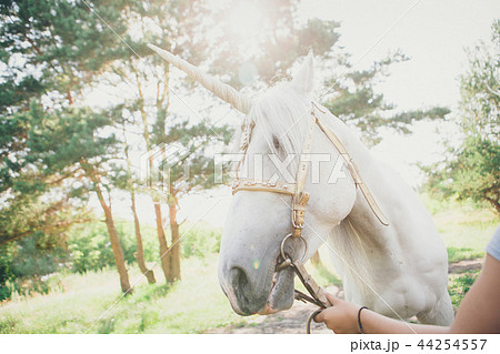 unicorn face close-up. 44254557