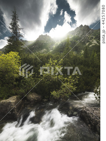 Mountain Scenery 44257080