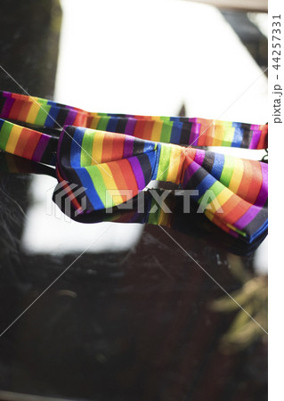 Gay lesbian LGBT bow tie Gay lesbian LGBT bow tie 44257331