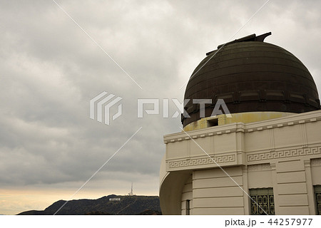 ハリウッドボード ハリウッドボード 44257977