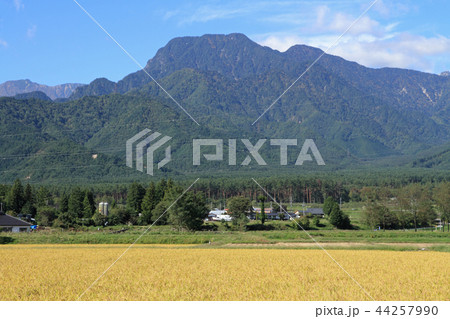 安曇野松川 有明山山麓の秋 安曇野松川 有明山山麓の秋 44257990