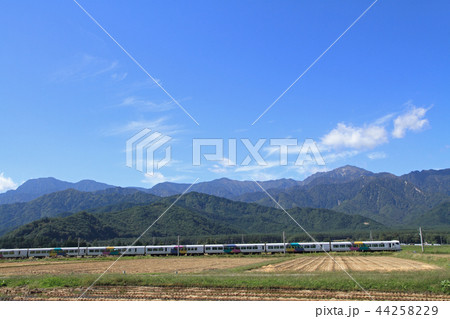大糸線 北アルプス山麓の秋 大糸線 北アルプス山麓の秋 44258229