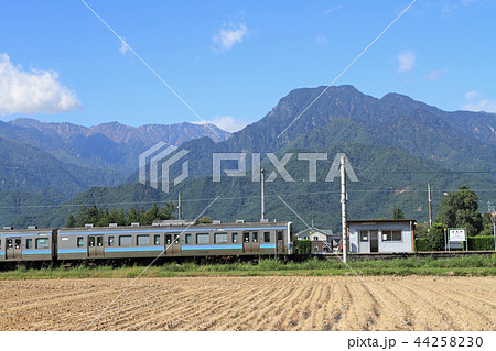 大糸線　秋の細野駅 44258230