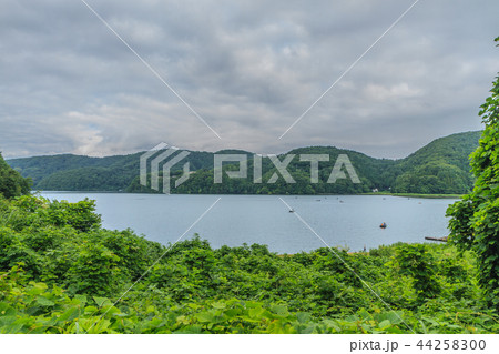 夏の野尻湖の風景 夏の野尻湖の風景 44258300