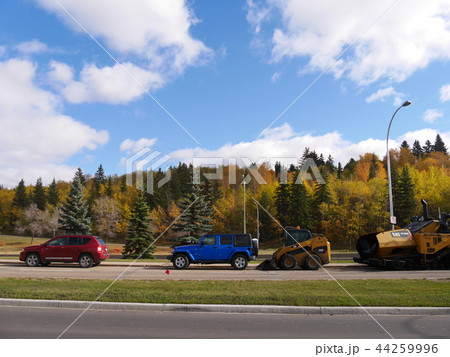 カナダ、エドモントンのカラフルな車たちと紅葉 44259996