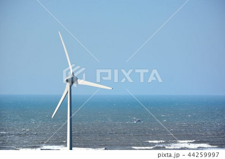 熱帯性 熱帯産 熱帯 44259997