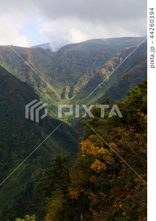 [秋田県]　鳥海山　稲倉岳　紅葉 44260394