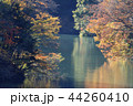 秋の宮ヶ瀬湖 44260410