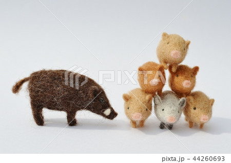 イノシシの親子 44260693