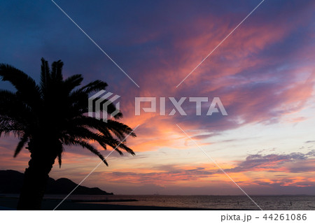 夕焼け空 海 ヤシの木 背景素材の写真素材