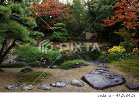 玄忠寺より 玄忠寺より 44263428