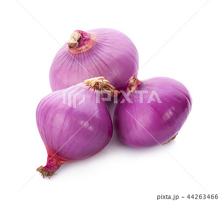 Slices of shallot onions for cooking on white Slices of shallot onions for cooking on white 44263466