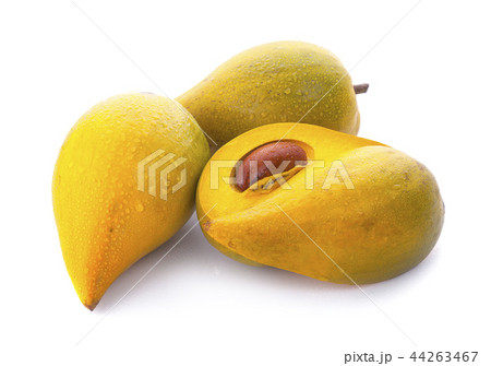 Egg fruit, Canistel, Yellow Sapote (Kunth) 44263467
