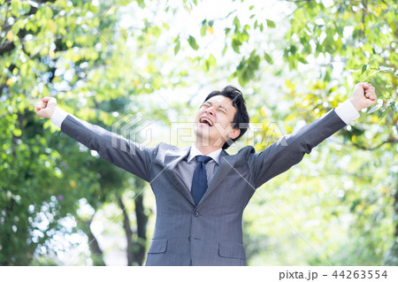 ビジネスマン 44263554