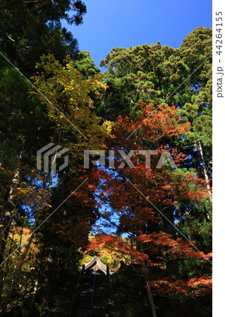 戸隠神社より 戸隠神社より 44264155