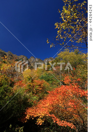 戸隠神社より 44264243