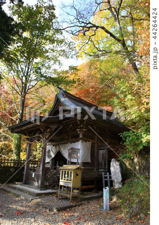 戸隠神社より 戸隠神社より 44264424